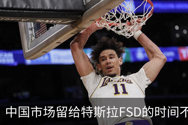 中国市场留给特斯拉FSD的时间不多了？