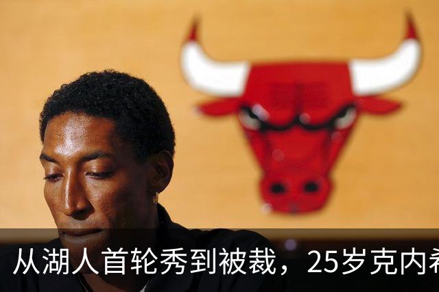 从湖人首轮秀到被裁，25岁克内希特转投尼克斯