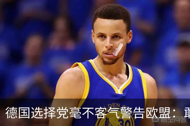 德国选择党毫不客气警告欧盟：敢拒绝我们的提议，后果将十分严重