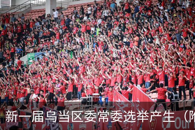 新一届乌当区委常委选举产生（附简历）→