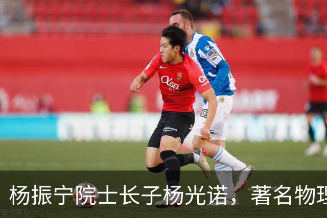 杨振宁院士长子杨光诺，著名物理学家兼诺贝尔物理奖获得者