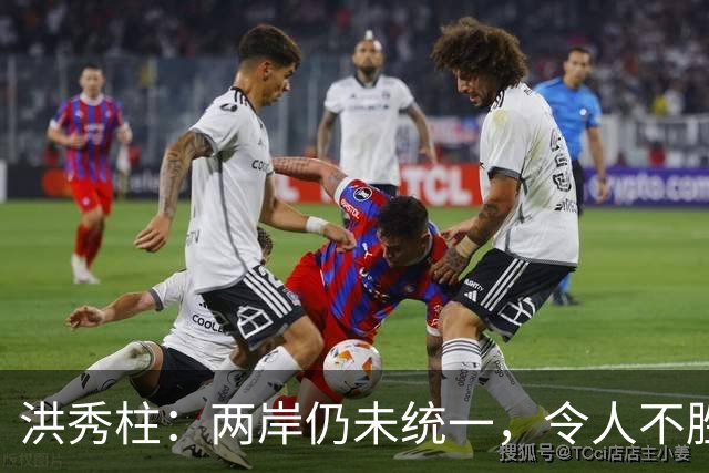 洪秀柱：两岸仍未统一，令人不胜唏嘘