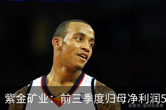 紫金矿业：前三季度归母净利润575.26亿元 同比增长51.93%