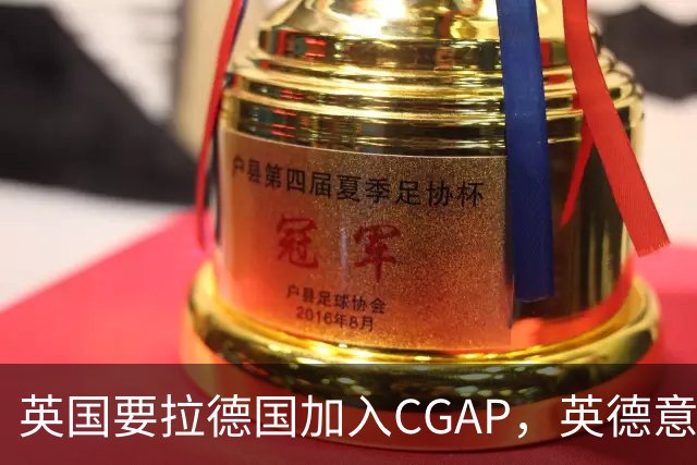 英国要拉德国加入CGAP，英德意日四国，这是要凑新时代的轴心国？