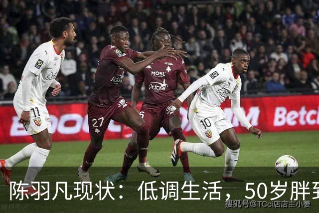 陈羽凡现状：低调生活，50岁胖到认不出，17岁儿子1米8长得像妈