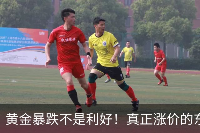 黄金暴跌不是利好！真正涨价的东西，正在掏空普通人钱包